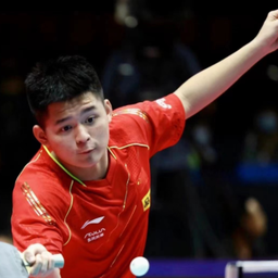 性的转会收 性的转会收